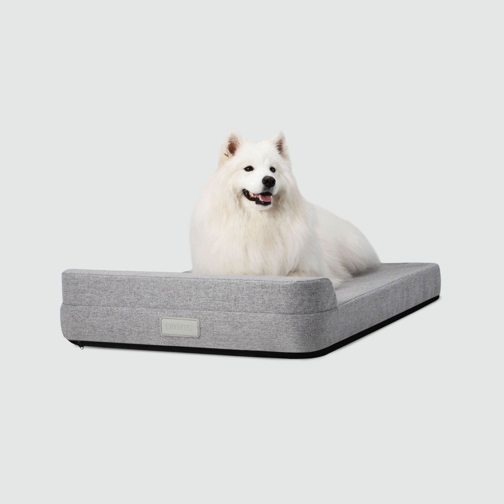 Bolstr Evolv Bed