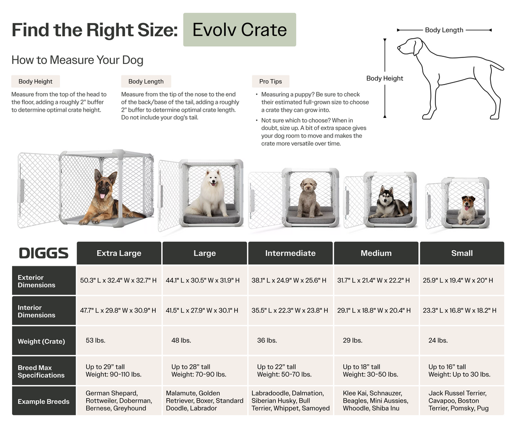 Evolv Dog Crate