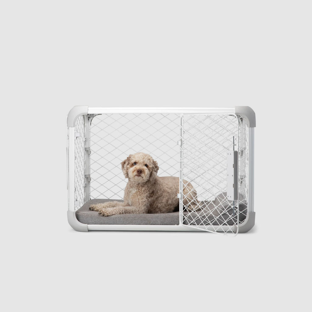 Evolv Dog Crate