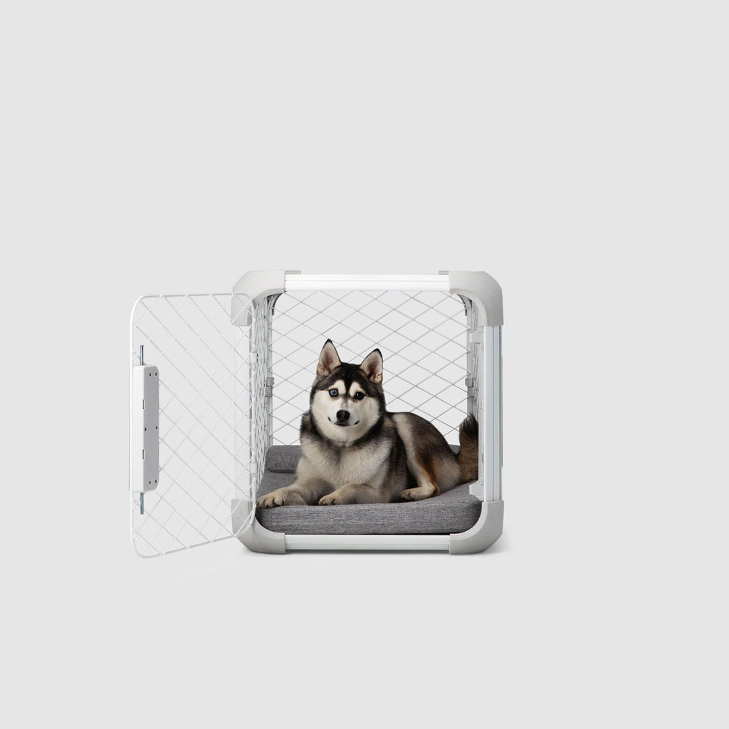 Evolv Dog Crate