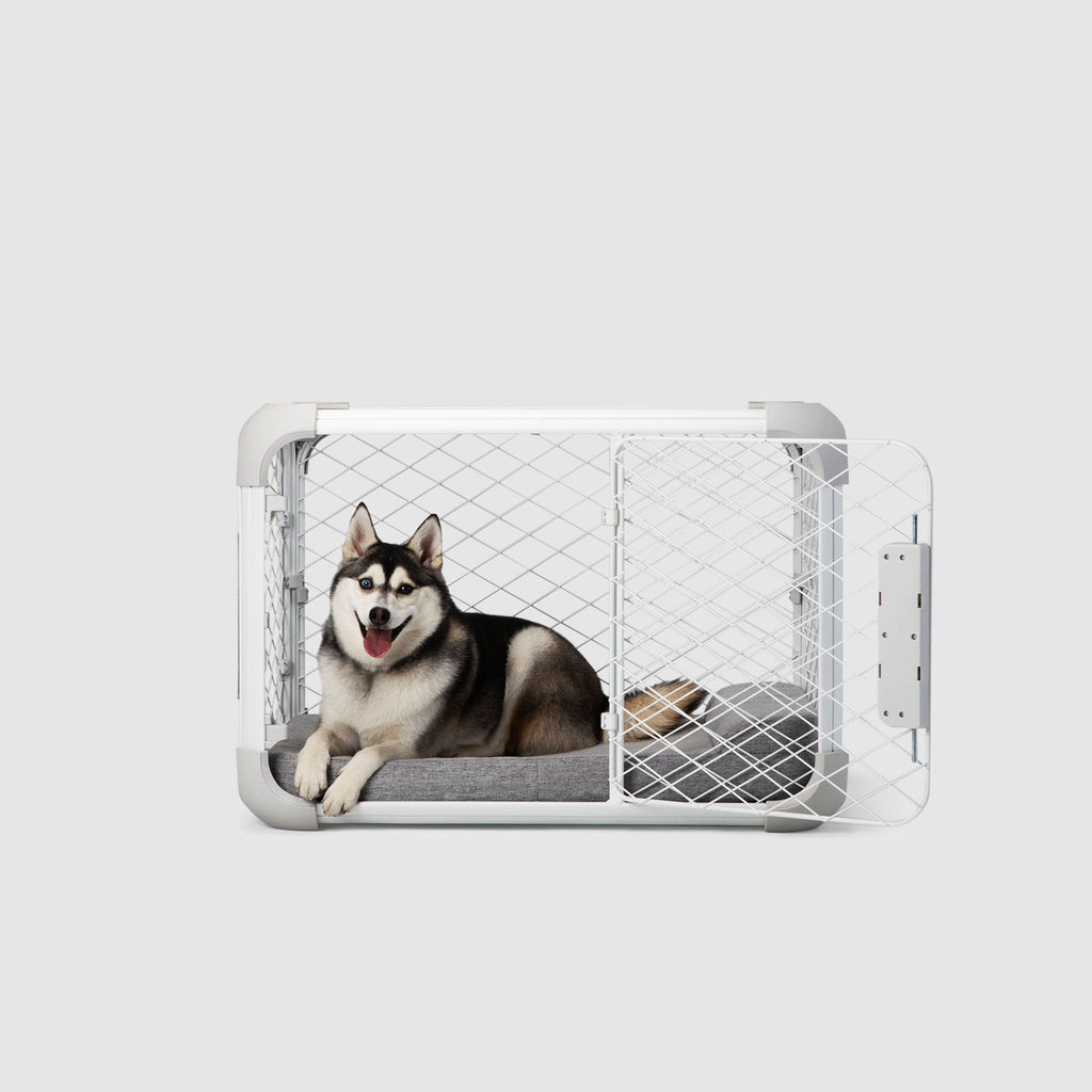 Bolstr Evolv Bed