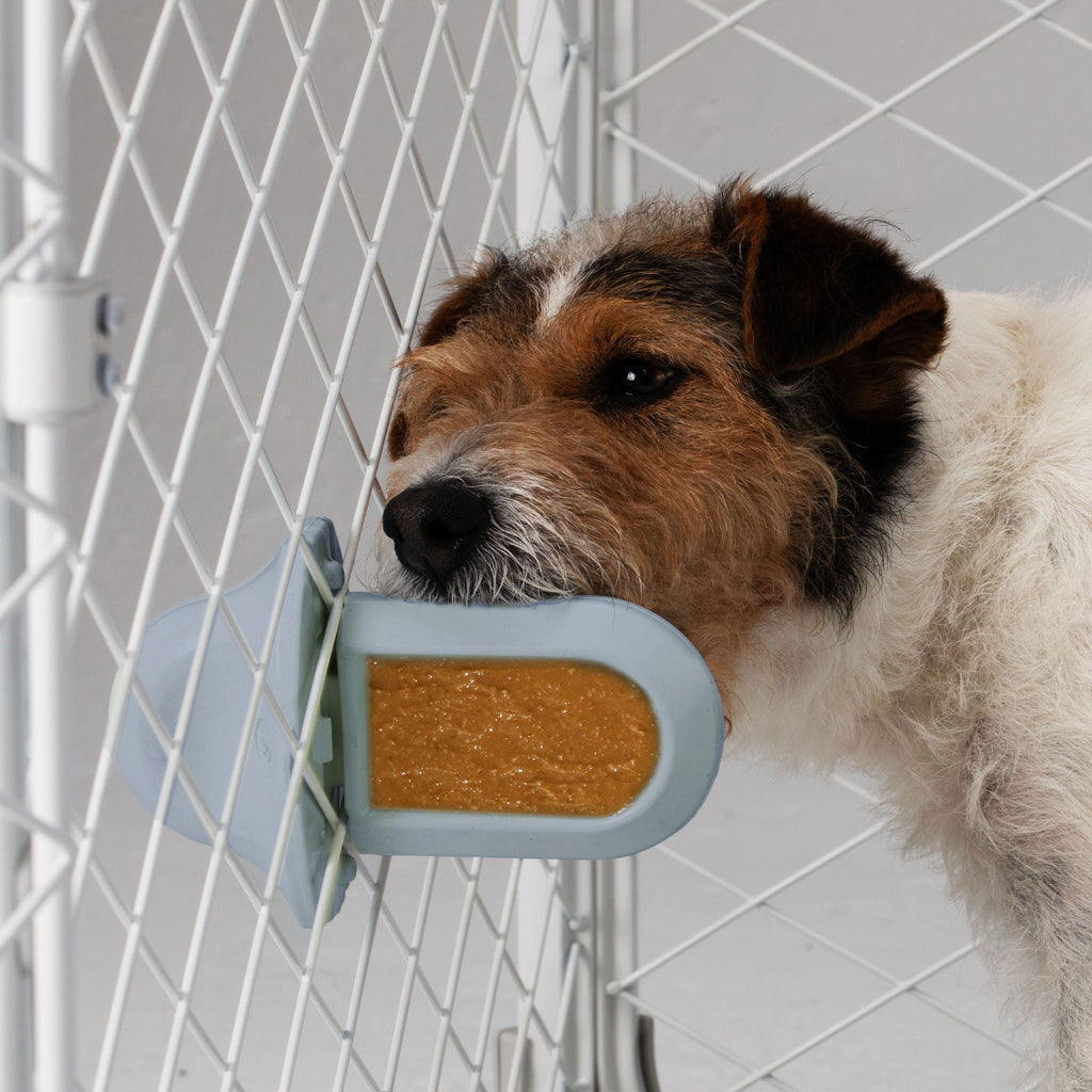 Revol Crate Training Bundle