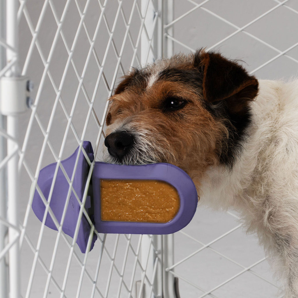 Groov Training Aid