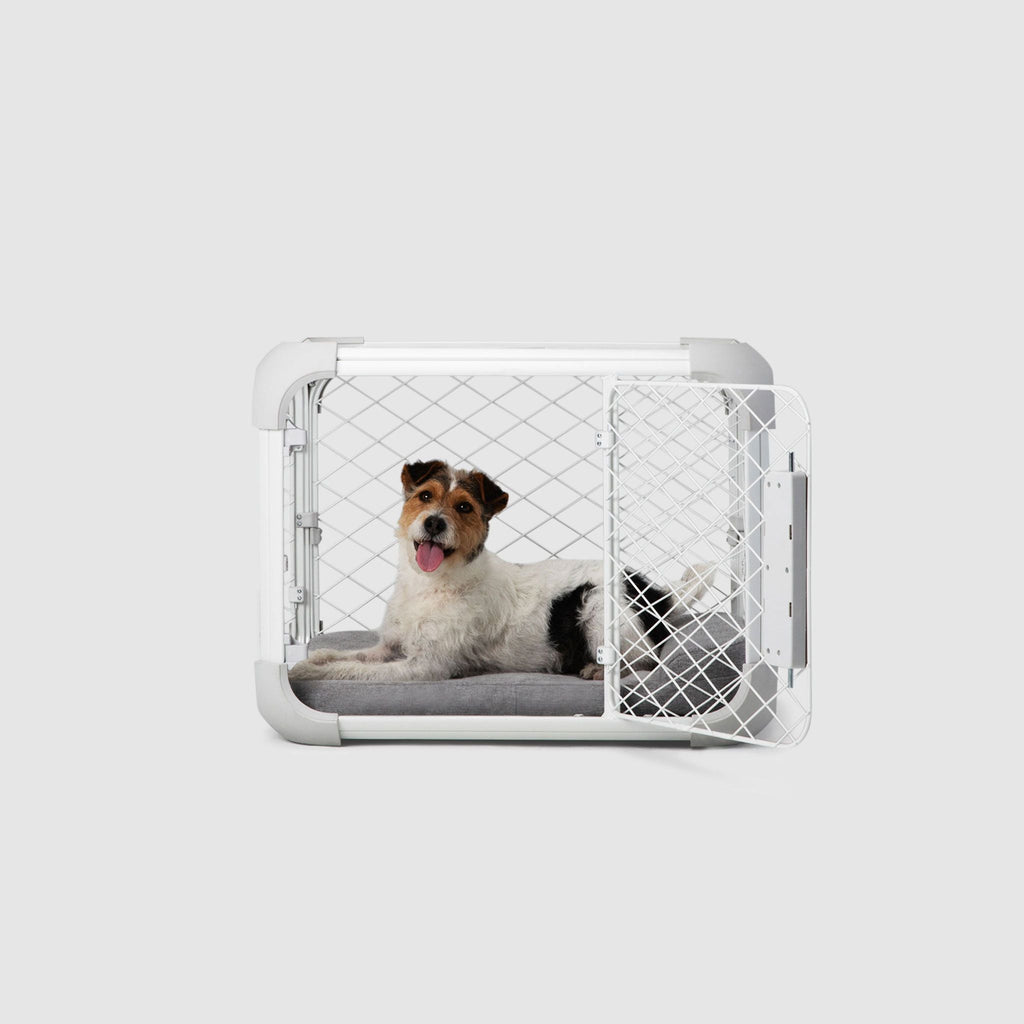 Evolv Dog Crate