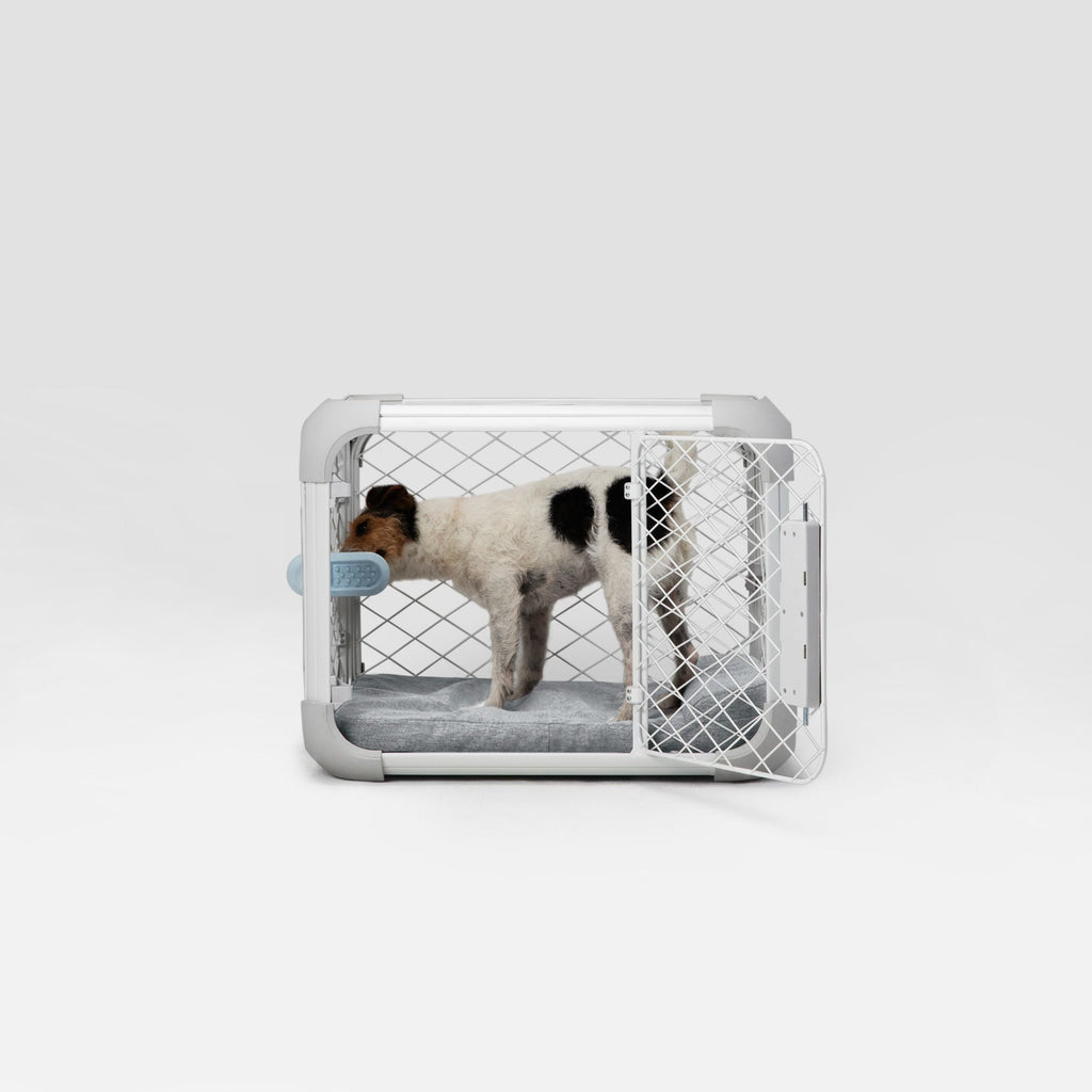 Bolstr Evolv Bed
