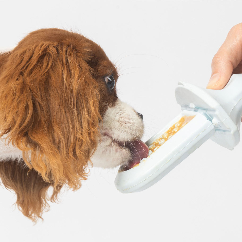 Groov Training Aid