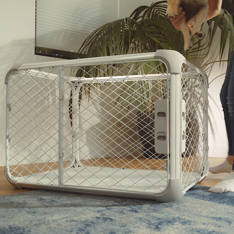 Evolv Dog Crate