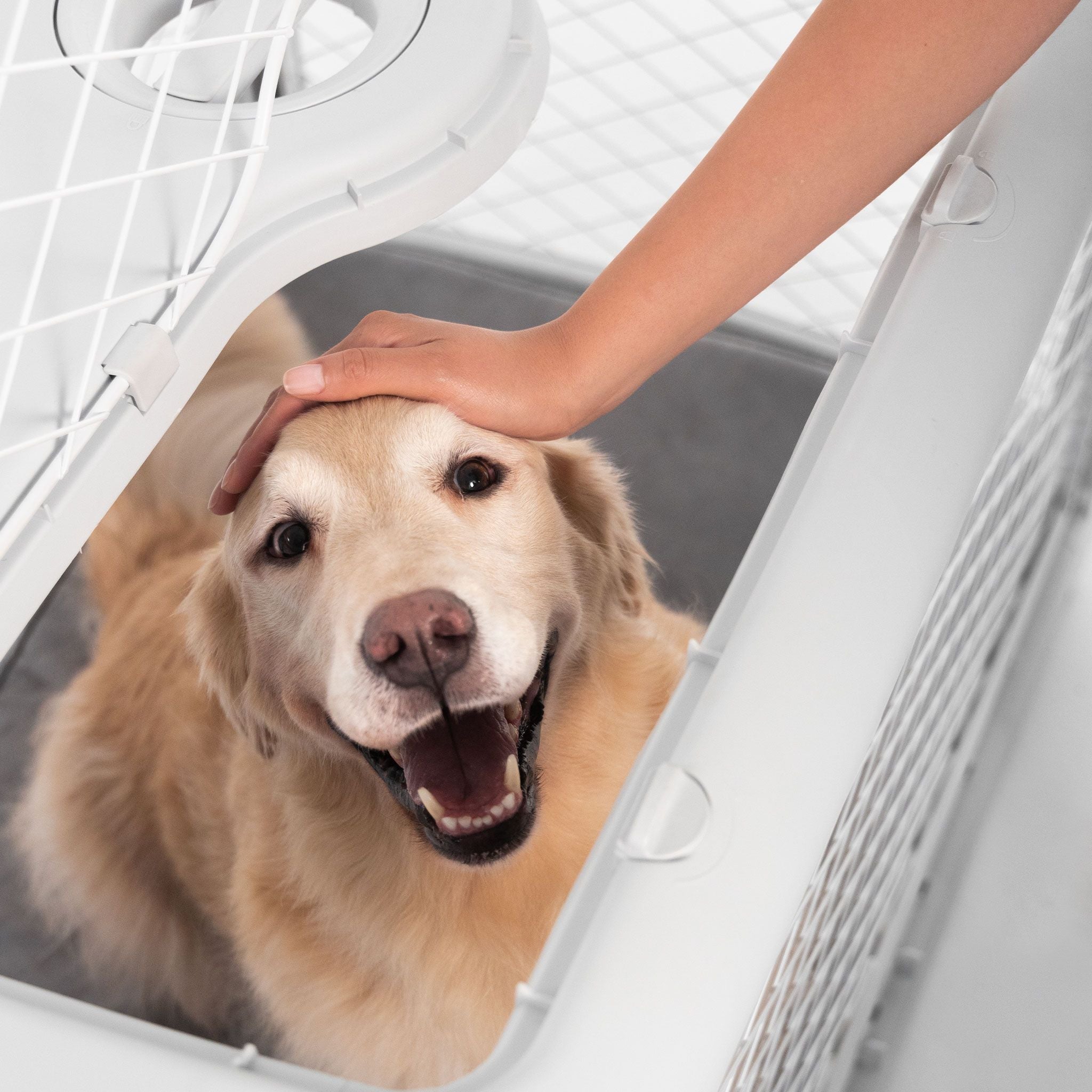Revol Dog Crate