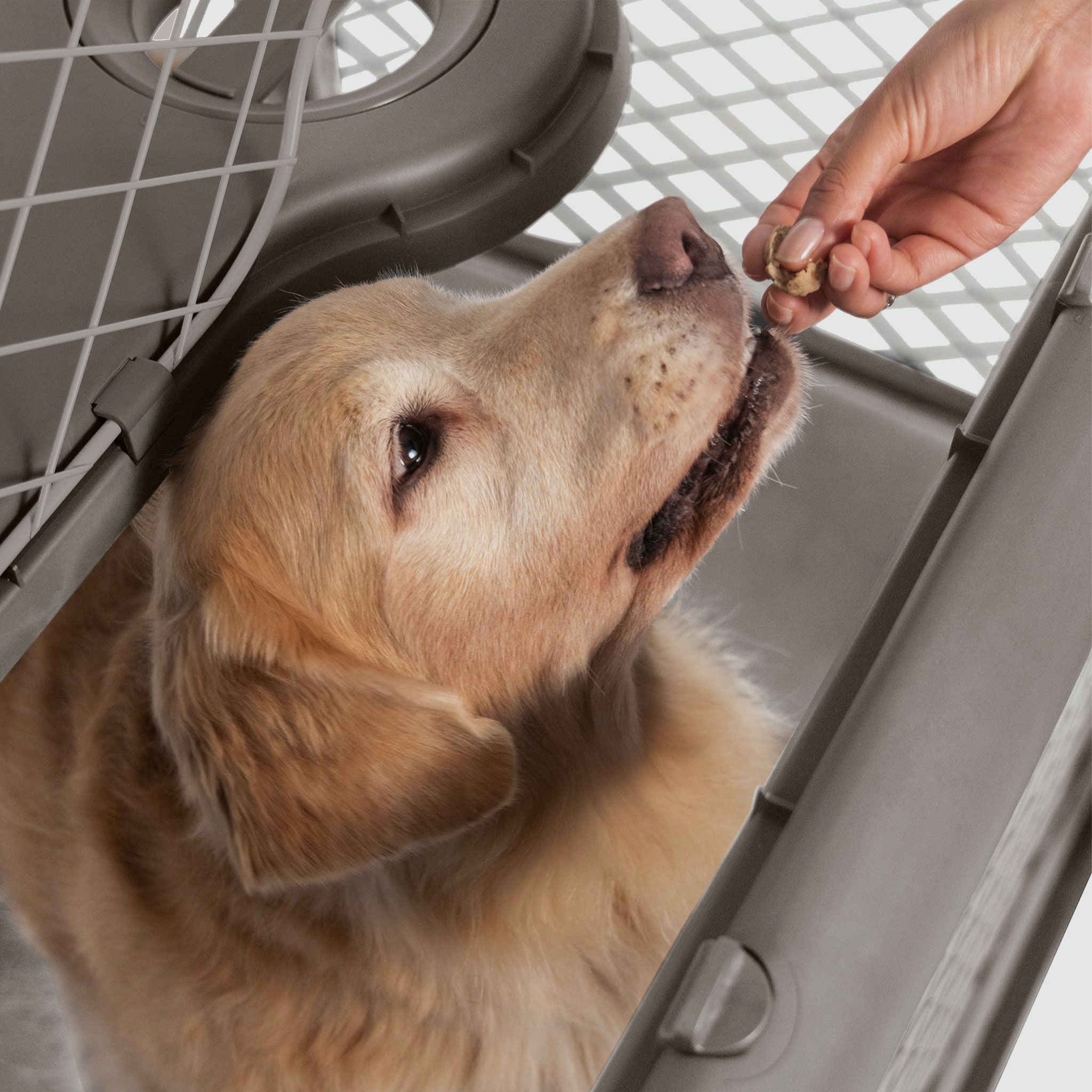 Refurbished Revol Dog Crate