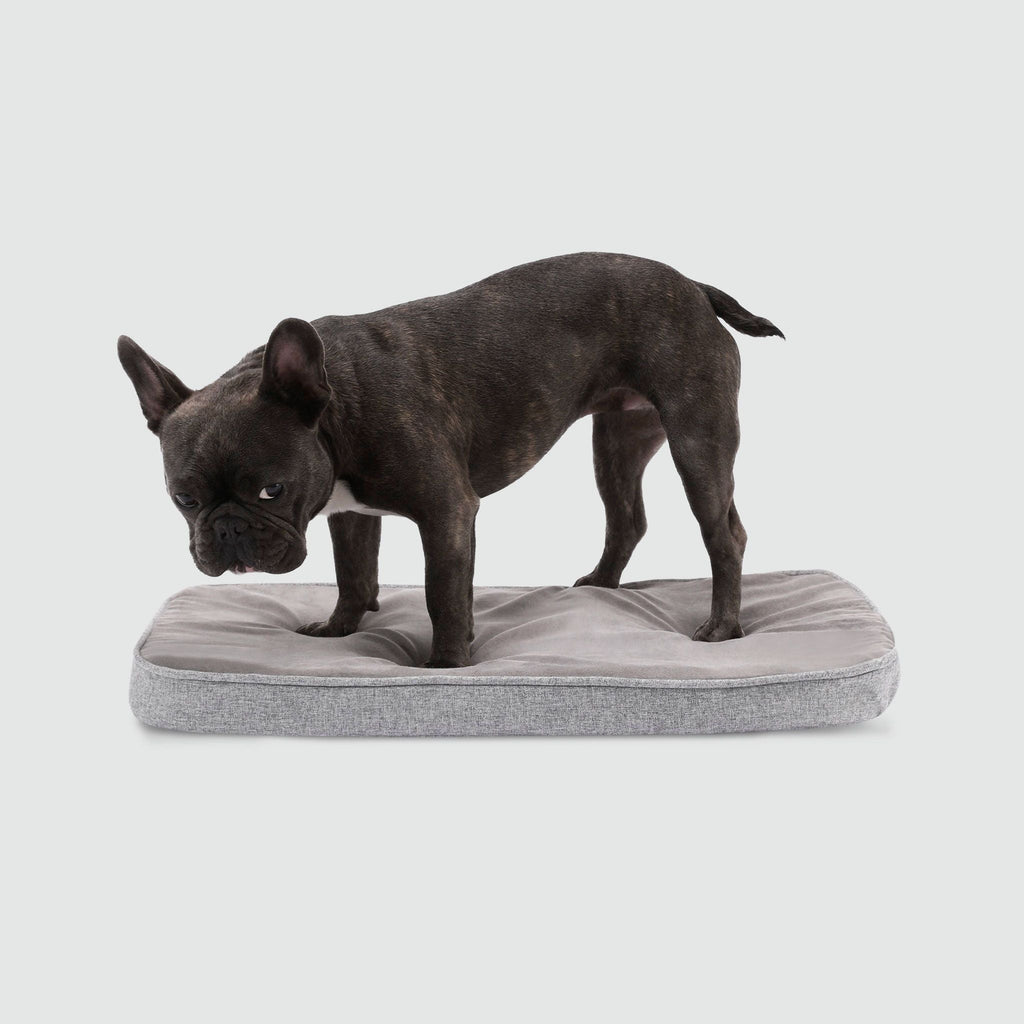 Revol Crate Training Bundle